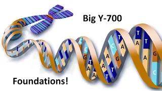 Big Y-700 DNA Foundations - Lee Martinez