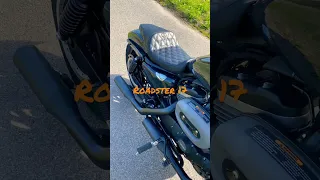 Harley Davidson Roadster KessTech Sound