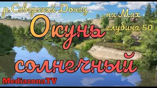 Русская Рыбалка 4 Где Клюет  р Северский Донец Окунь солнечный на Мах 27 01 23