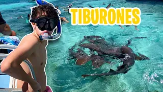 NADÉ CON TIBURONES 🦈