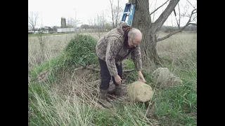 MannLake flower pot type Honey Bee Swarm Trap Installation #1