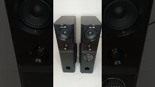 Акустическая система Eltronic ElTRONIC 20-82 HOME SOUND