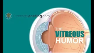 The Vitreous Humor | Virtreous Membrane, Posterior Hyaloid and Anterior Hyaloid
