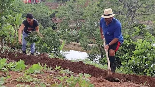 FAZENDO UMA ROÇA EM FRENTE A CASA  + FALTOU ÁGUA