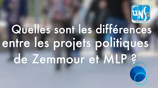 Quelles sont les différences entre les projets politiques d'Éric Zemmour et de Marine Le Pen ?