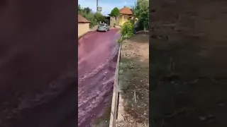 Red wine flooding the streets of Anadia, Portugal after two tanks exploded at a local winery.