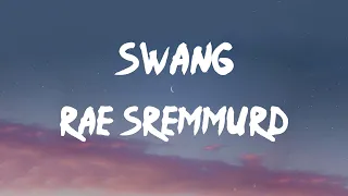 Rae Sremmurd - Swang (Lyrics) | Know some young niggas like to swang