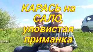 На нашем пруду ! Ловлю карася на сало с чесноком поплавочной удочкой с берега