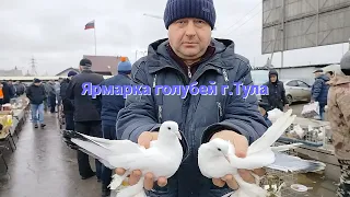 Ярмарка голубей г.Тула 21.10.23