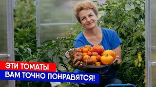 Эти томаты вам точно понравятся