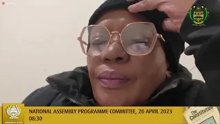 National Assembly Programme Committee, 20 April 2023