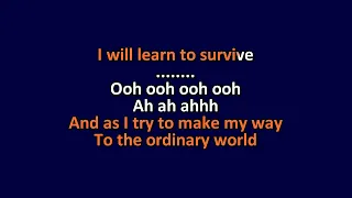 Duran Duran - Ordinary World - Karaoke Instrumental Lyrics - ObsKure