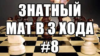 Шахматные задачи мат в 3 хода. Выпуск №8. Шахматы задачи. Мат в три хода - решение задач.