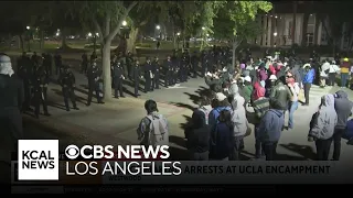 Hundreds arrested as LAPD raids a pro-Palestinian encampment at UCLA