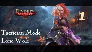 Divinity: Original Sin 2 Lone Wolf Tactician Mode #01 The Merryweather