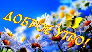 Доброе УТРО! ПУСТЬ У ТЕБЯ ВСЁ БУДЕТ ХОРОШО! Пожелания Для Друзей.♥🙏