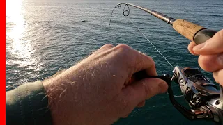 NEVER EXPECTED THIS - Pier Fishing for Spanish Mackerel