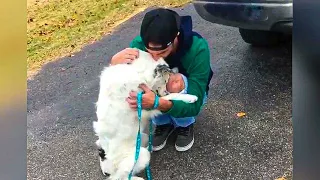 Diseased dog was in so much pain he couldn’t be touched now he won’t stop giving hugs
