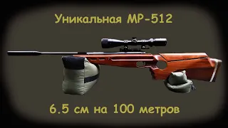 УНИКАЛЬНАЯ МР 512 стрельба на 100 метров !!!