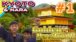 【Japan Travel】Must-See Popular World Heritage Sites in Kyoto｜Kyoto & Nara Kids Vlog #1