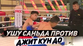 Джит кун до против ушу саньда