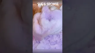 ASMR Net Sponge x Purple Detergent