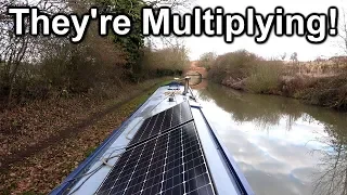 160. Winter cruise on my narrowboat (Part 2); Rugby to Brinklow