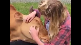 Unbelievable Friendship Between Human And Animals