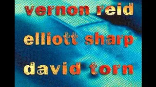 Vernon Reid, Elliott Sharp, David Torn ‎– Gtr Oblq [Guitar Oblique] - (1998 - Album)