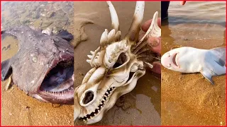 Awesome Fisherman Catching Seafood 🦐🦀 Deep Sea Octopus (Catch Crab, Catch Fish) - Tik Tok P42