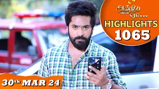 Anbe Vaa Serial | EP 1065 Highlights | 30th Mar 24 | Virat | Shree Gopika | Saregama TV Shows Tamil