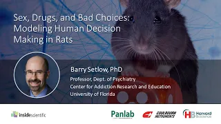 Sex, Drugs, and Bad Choices: Modeling Human Decision Making in Rats