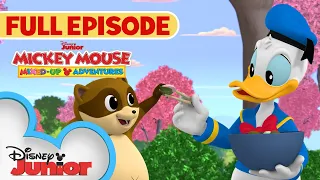 Hanami Hijinks! | S1 E18 | Full Episode | Mickey Mouse: Mixed-Up Adventures | @disneyjunior