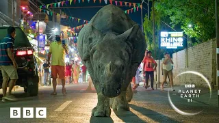 Your FIRST LOOK at Planet Earth III 🌎 featuring Hans Zimmer, RAYE and Bastille! - BBC