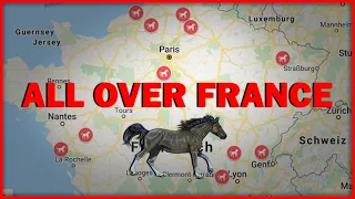 Serial ritualistic Horse Killings all over France – An Internet Challenge? | Mystery in 3