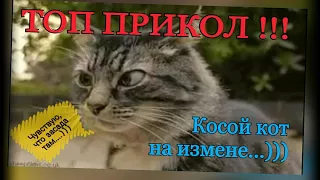 ТОП ПРИКОЛ !!! Косой кот на измене ...))) 100 раз смотрел и ржал ))) Смех и Грех TV.