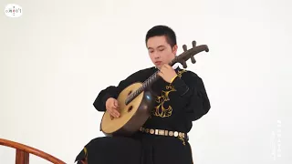 Traditional Chinese Instrument【中阮】《大护法》中国传统乐器碰上流行歌曲