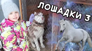 Соня и лошадки 3 / Sofia and the horses 3