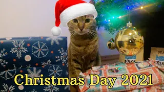 Nala Cat's Christmas Day 2021 🎁🎄😻