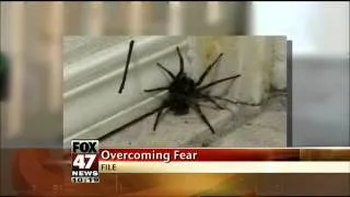 Study: One Therapy Session to Overcome Fear of Spiders