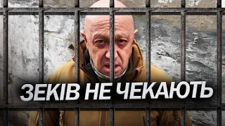 На болотах проблеми - ЗЕКИ повертаються з війни / СОЛЯР розповіла деталі