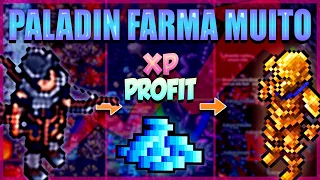 TIBIA - 7 HUNTS QUE PALADIN FAZ MAIS DE 1,5KK POR HORA DE PROFIT