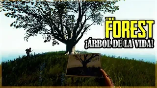 EL SECRETO QUE ESCONDE EL ARBOL -  THE FOREST #19