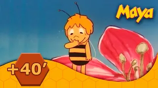 La abeja Maya 🕘 Compilación +40' (Ep46, Ep47)