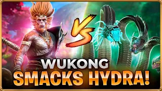 🔥This SURPRISED ME! The Main Event... Sun Wukong Vs Hydra Clan Boss | Raid Shadow Legends