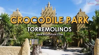 Crocodile Park, Torremolinos Spain 2016