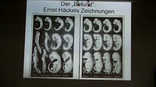 Eine naturwissenschaftliche Kritik der Evolutionstheorie - Thomas Seiler