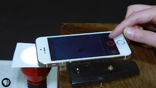 See Microbes with this DIY Phone Microscope