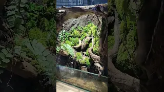 90° Terrarium