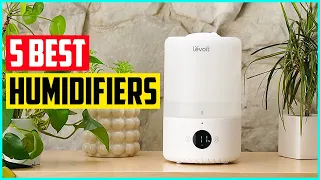 The 5 Best Humidifiers In 2021